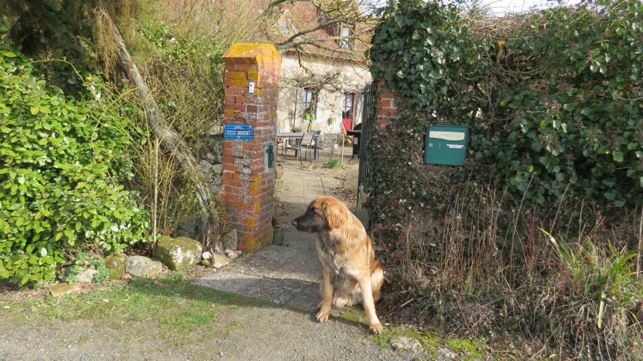 La Fosse Seche Bed and Breakfast Dolus-le-Sec Exterior foto